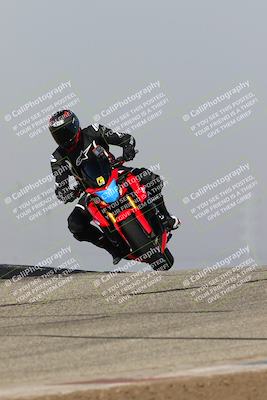media/Feb-10-2023-TrackDaz (Fri) [[827c11d241]]/C Group/1245pm (Outside Grapevine)/